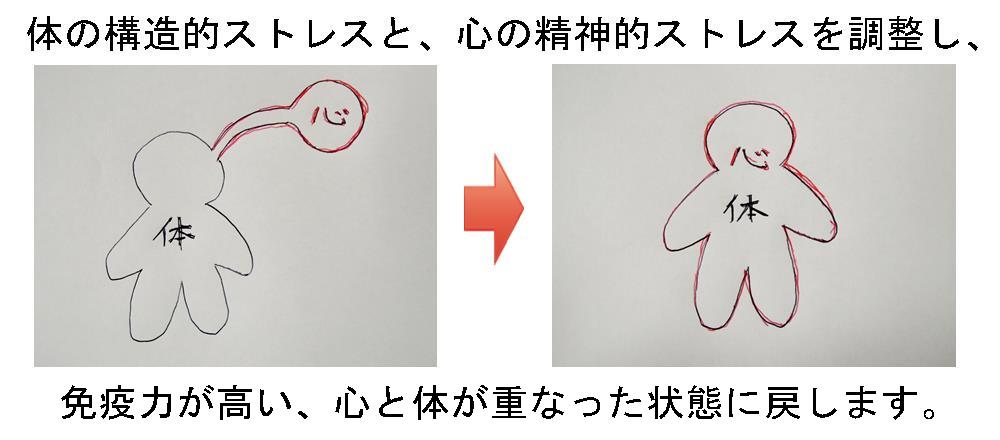 感覚の正常化、身体と心を重ねる。