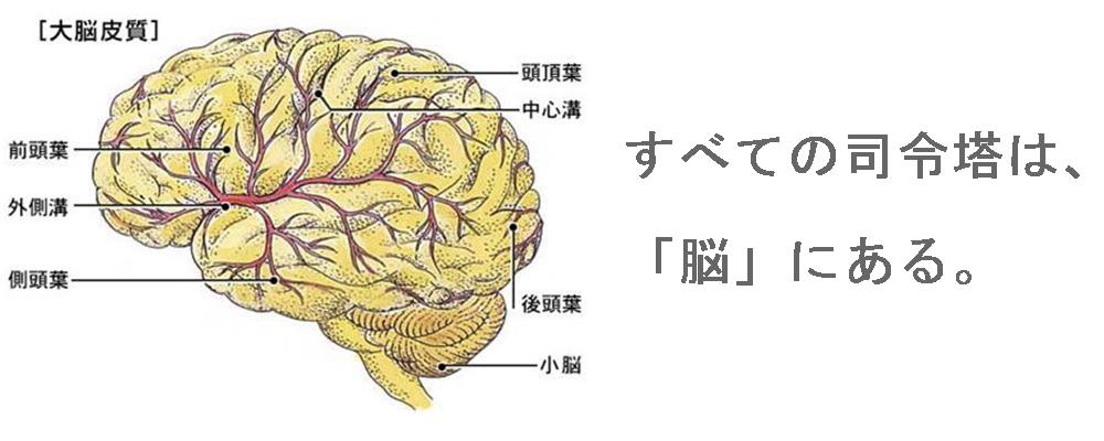 奈良県で自律神経を整える整体院の考え