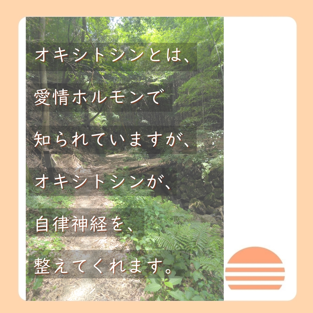 自然に触れると自律神経が整う５
