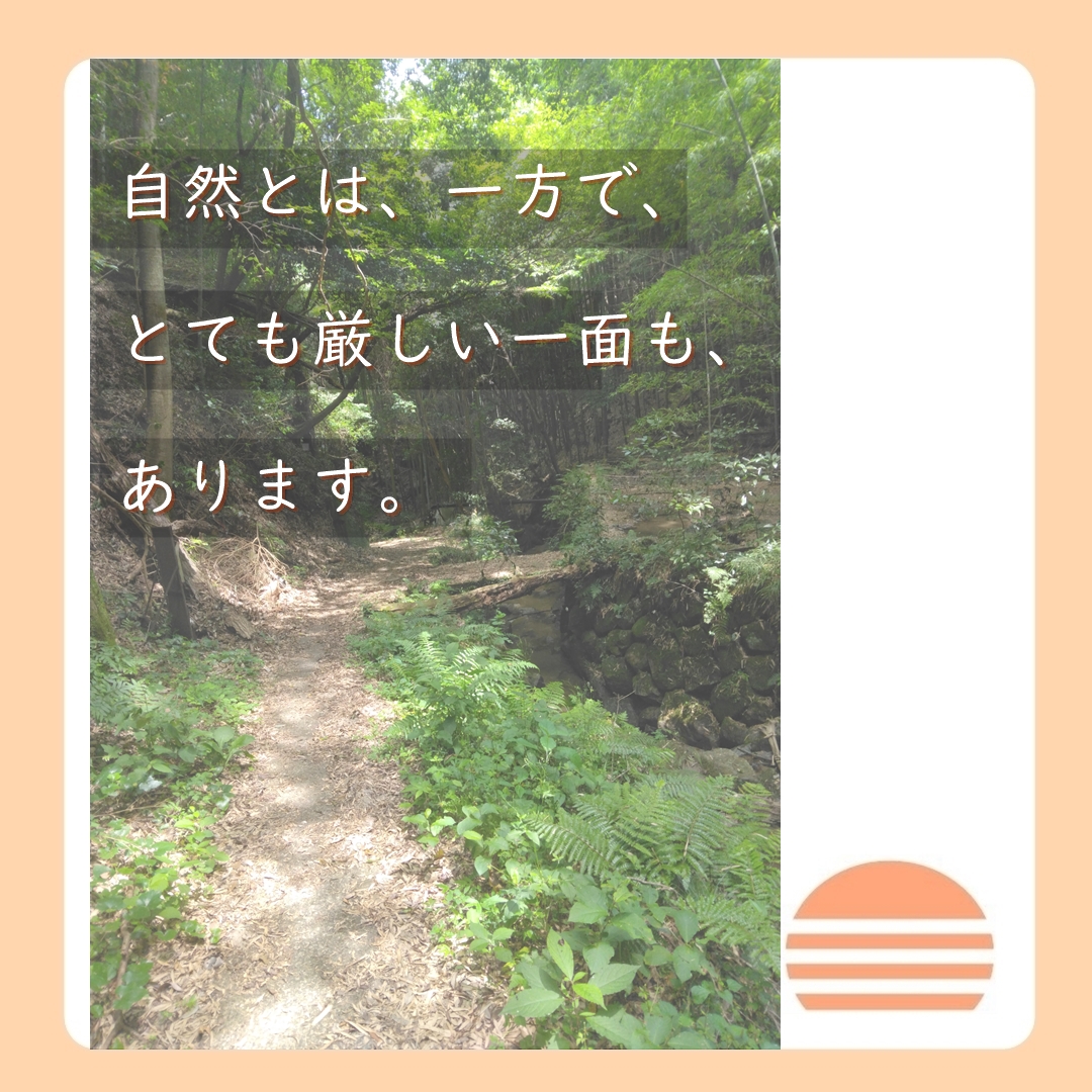 自然に触れると自律神経が整う６