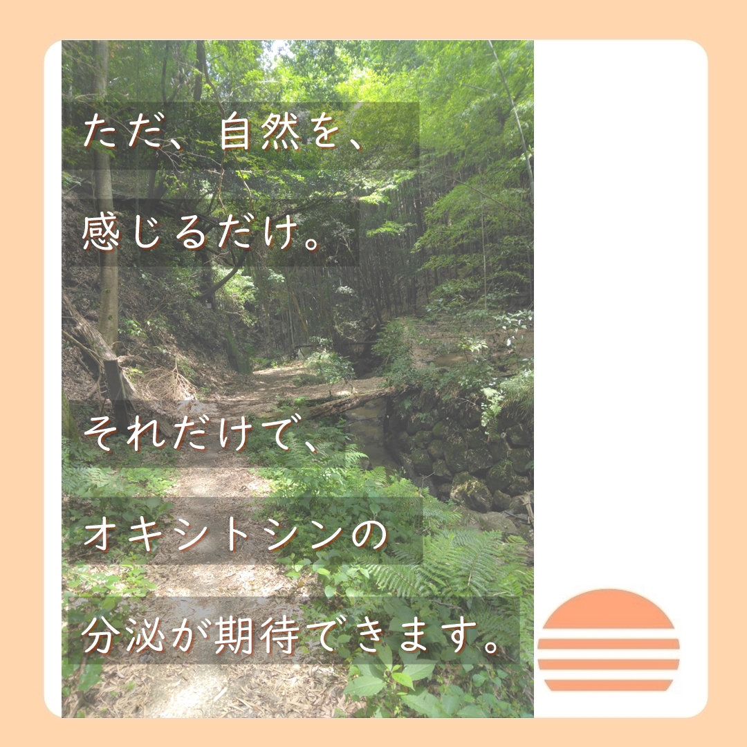 自然に触れると自律神経が整う４