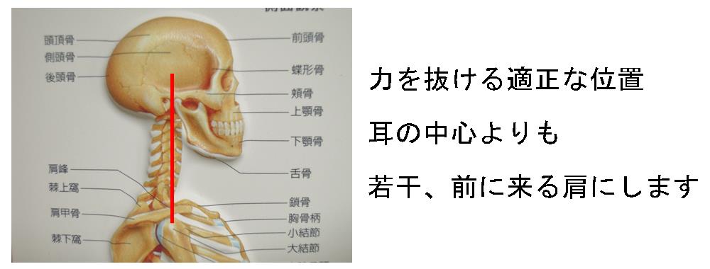 肩と頭の位置