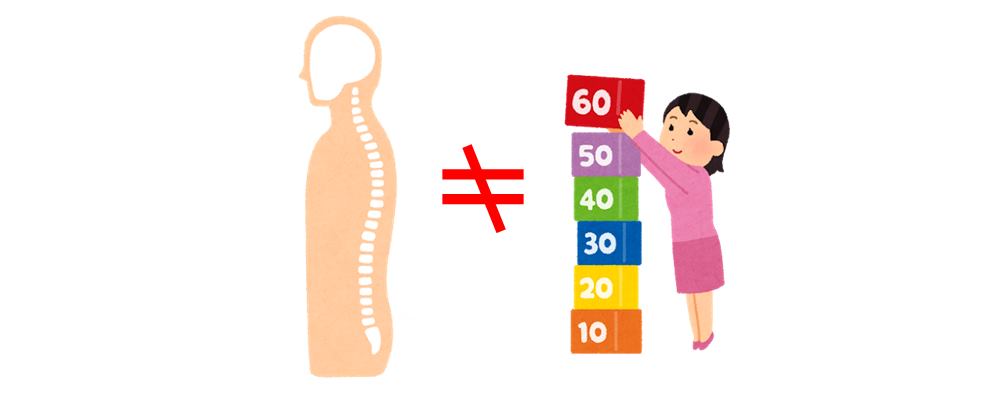 勘違いしやすい背骨の構造