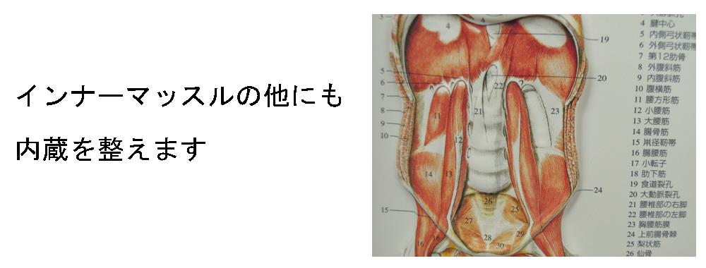 内蔵を整えます。