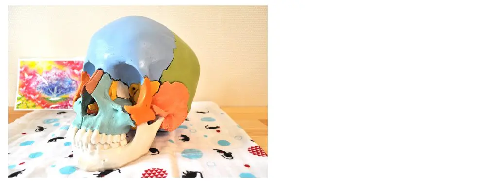 整った頭のイメージ