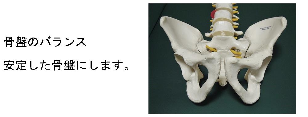 安定した骨盤。