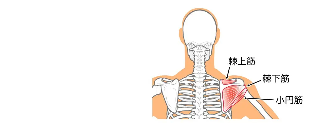 インナーマッスルと巻き肩