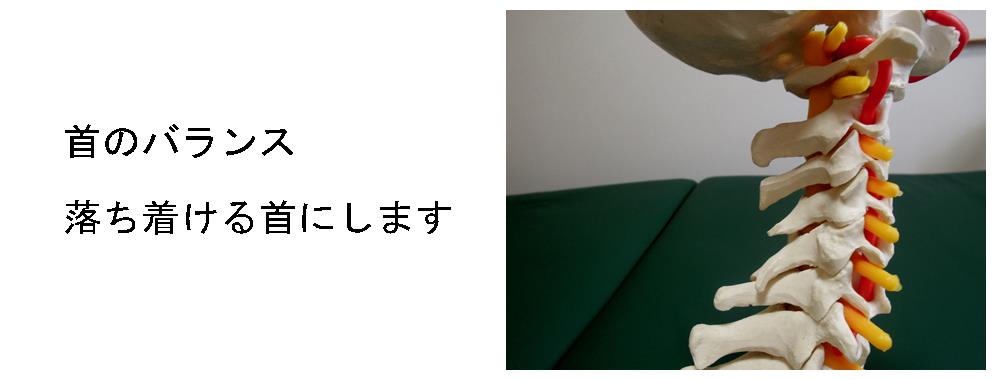 首のバランス