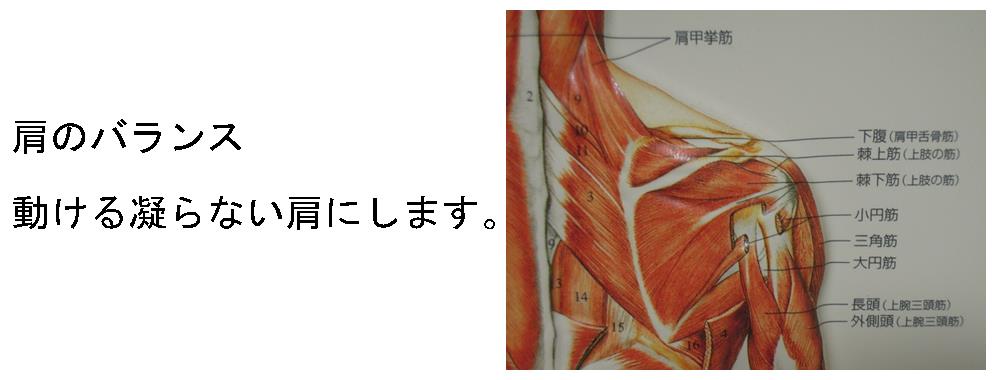 肩のバランス