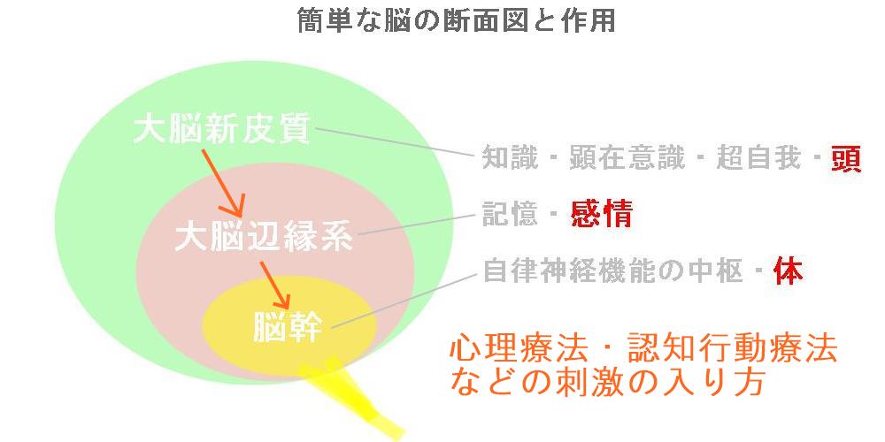 心理療法、認知行動療法、カウンセリングの脳の反応