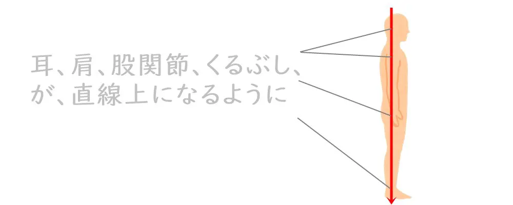 構造的な姿勢