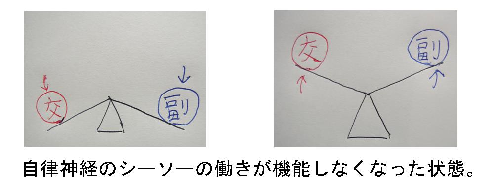 さらに自律神経が乱れると、シーソーの動きが作用しなくなる