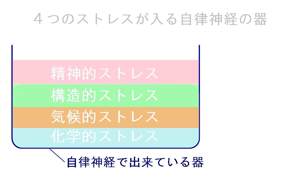 ４つのストレスが入る自律神経の器
