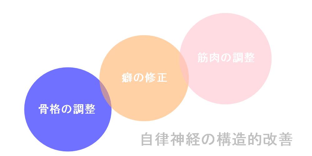 自律神経の構造的改善。骨格、癖、筋肉。
