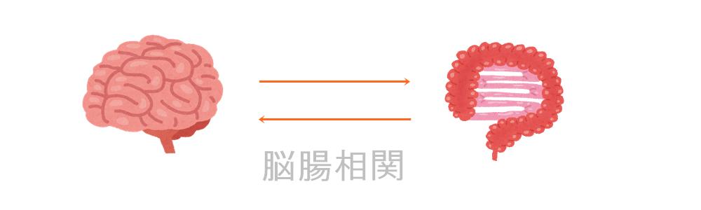 脳腸相関の乱れ、過敏性腸症候群