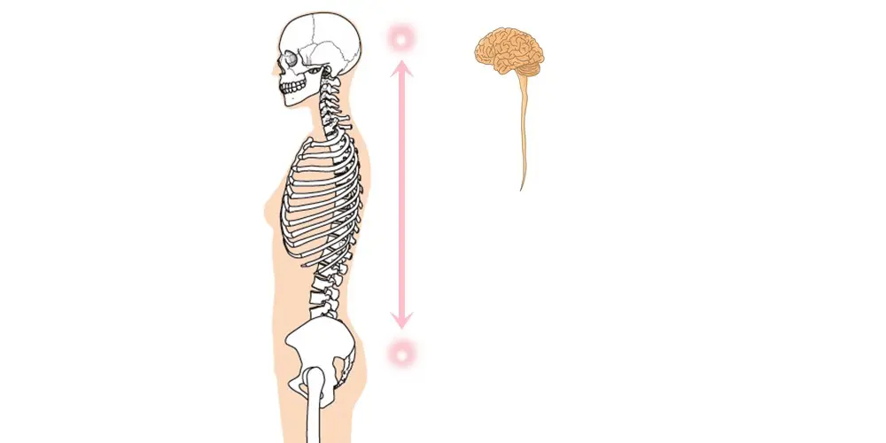 クラニオセイクラルリズム、一次呼吸