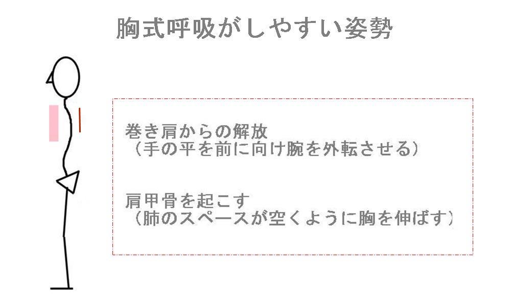 胸式呼吸がしやすい姿勢