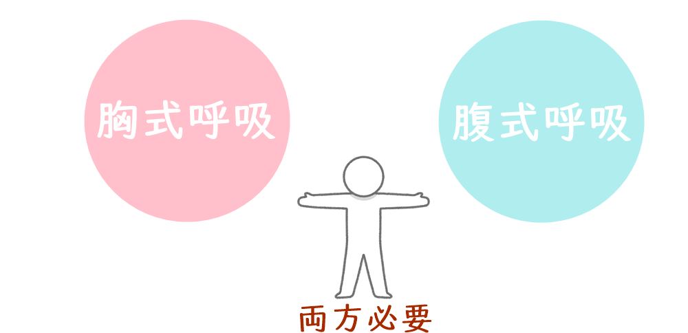 自律神経を整えるには、胸式呼吸、腹式呼吸、両方必要。