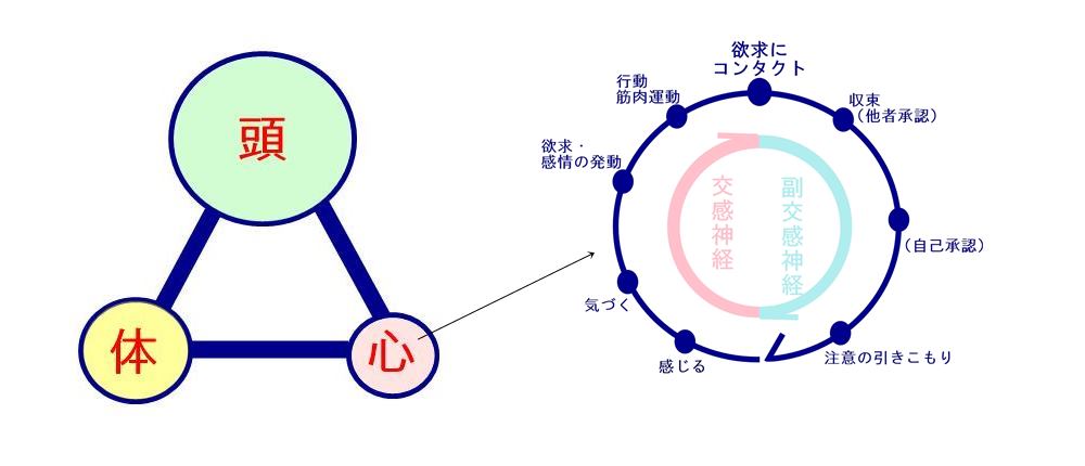小さくなってるエネルギーサークルを回す