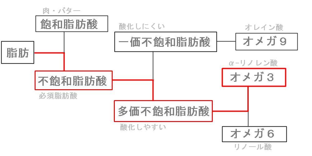 オメガ３の位置づけ