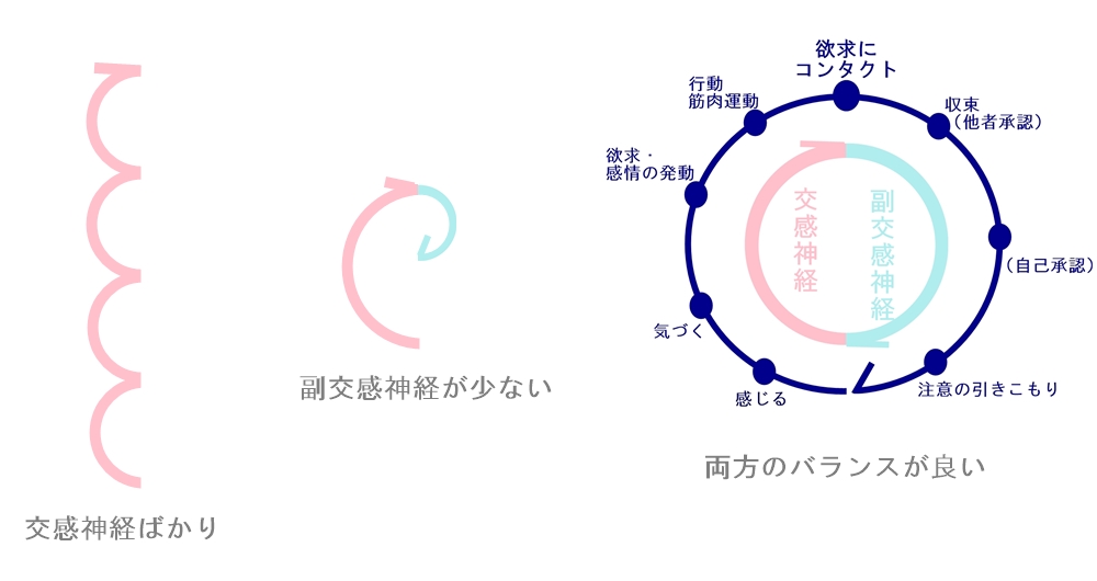 エネルギーサークルと自律神経のバランス