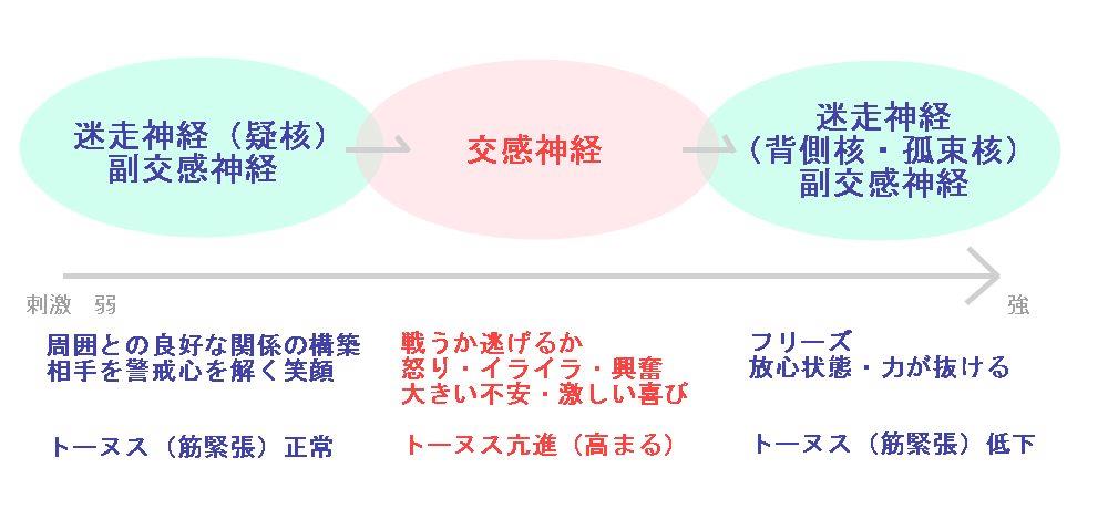 ポリベイガル理論、刺激に対する自律神経の反応
