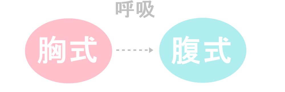 徐々に、腹式呼吸に変えていく