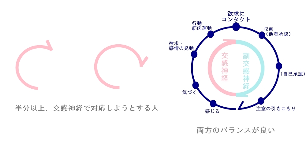 エネルギーサークルと交感神経の割合