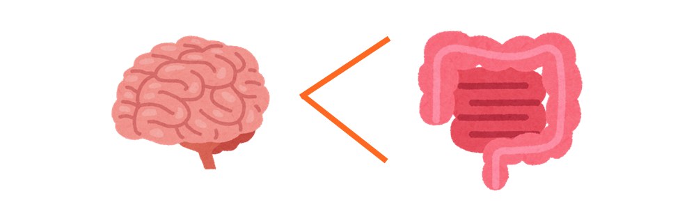 脳腸相関、食は脳より腸
