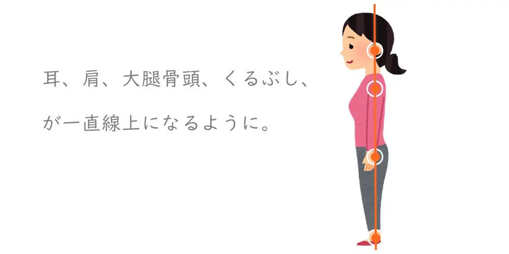 胸式呼吸がしやすい姿勢のポイント