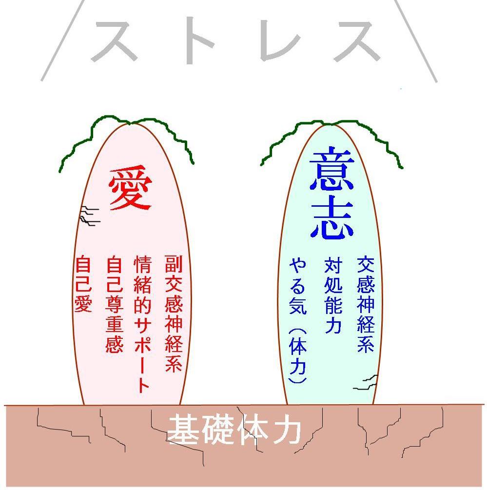 愛と意志が育ちにくい基礎体力の枯渇