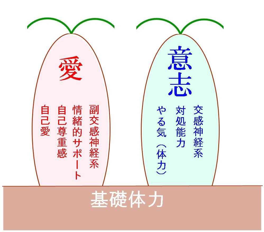愛と意志、自律神経の関係