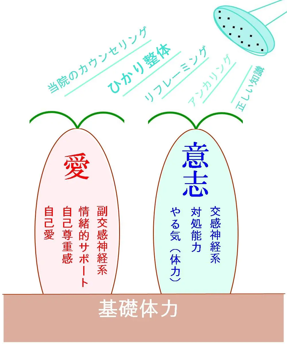 愛と意志を育てる取り組み＝自律神経を整える
