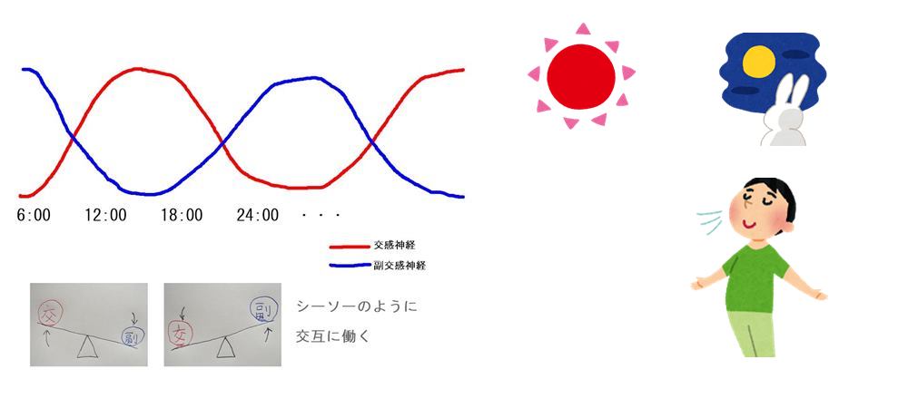 自律神経を整える生活