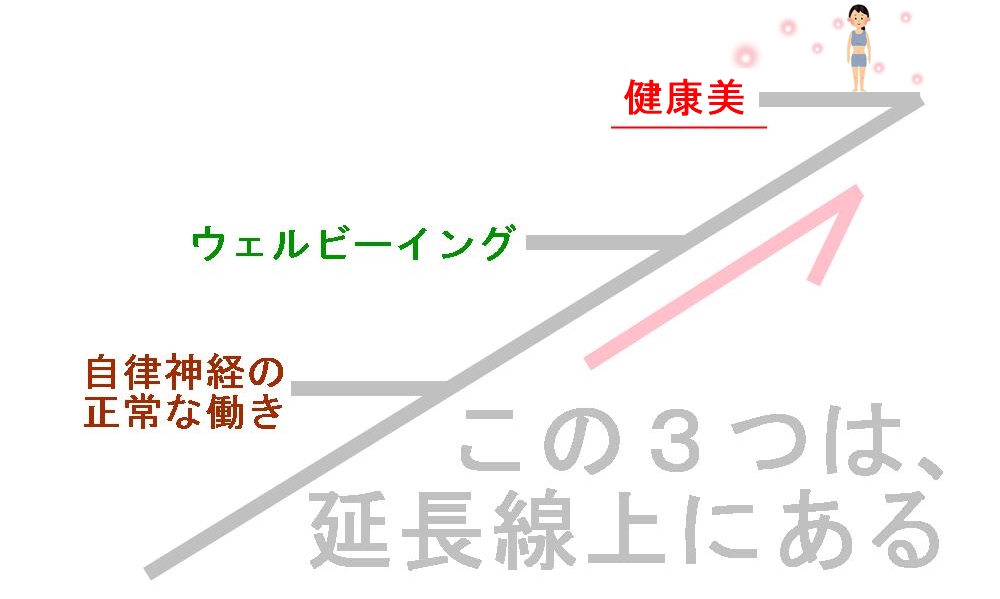 健康美は、自律神経を整える延長線上にある